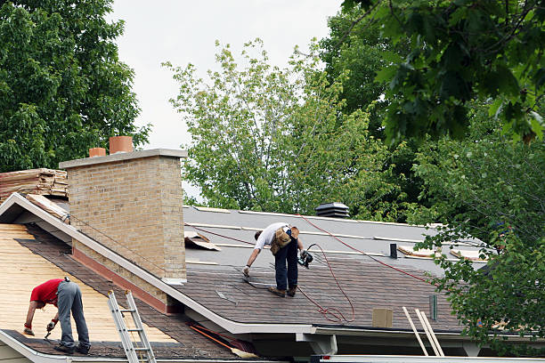 Best Roof Gutter Cleaning  in Franklin, KY